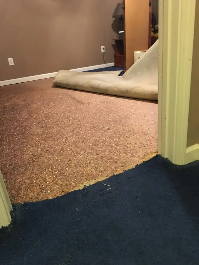 Carpet pad removal revealing water damage during Drying & Dehumidification in Tecumseh