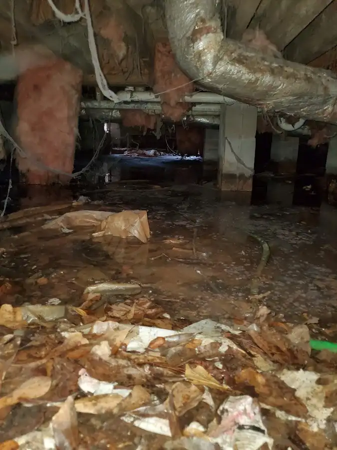 Crawl space flood assessment for Leak Detection & Repair in Tecumseh