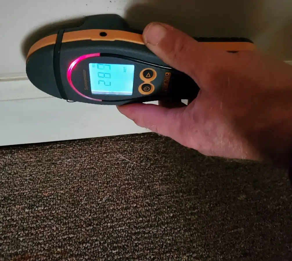 Moisture detection at baseboard during Sewage Cleanup & Sanitation in Tecumseh